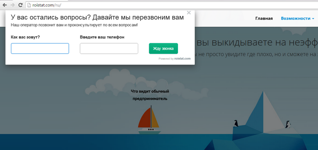 Ловец лидов в Roistat