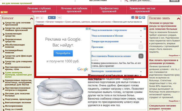 Вирусы